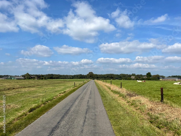 Obraz Road around Dortherhoek
