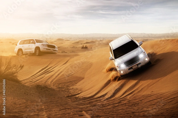 Obraz Desert Safari