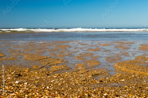Obraz Conchas na praia