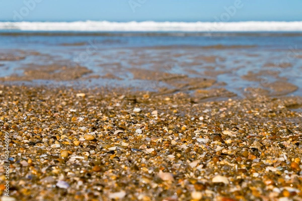 Obraz Conchas na praia