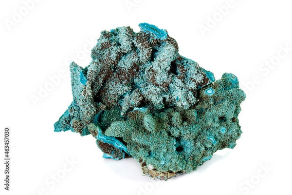 Fototapeta Macro mineral stone Malachite against white background