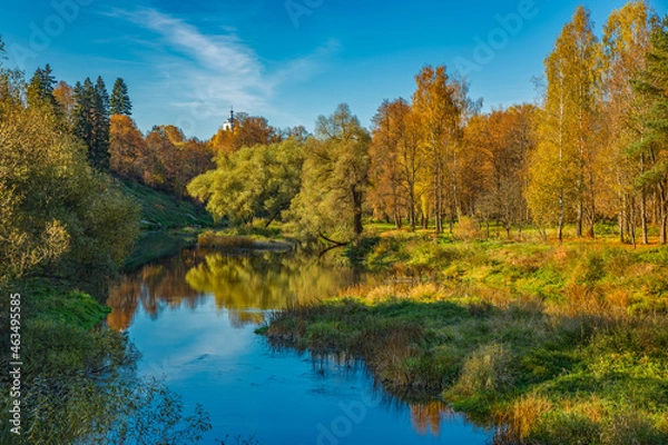 Fototapeta Autumn forest by the river, beautiful nature