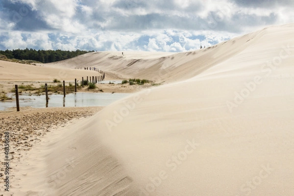 Obraz Poland, dunes in Leba.