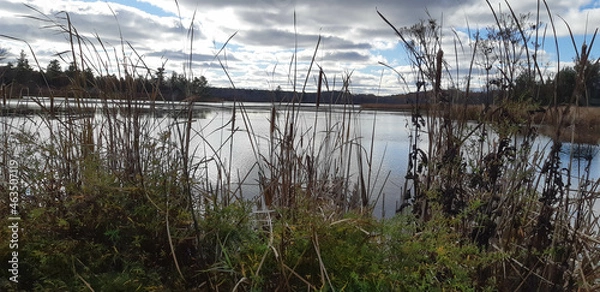 Fototapeta reflection in the water