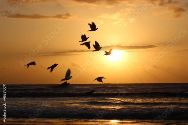 Obraz silhouette of a person jumping on the beach