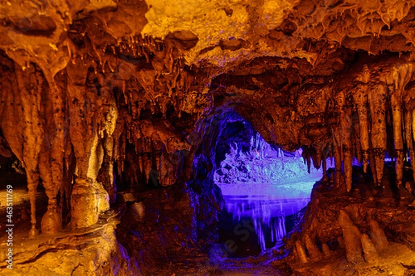 Obraz Beautiful Scenic View of a Florida Cavern