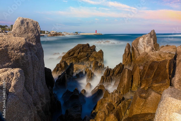Fototapeta 바다와 소나무