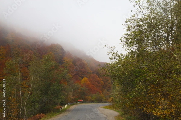 Fototapeta  Carpathians
