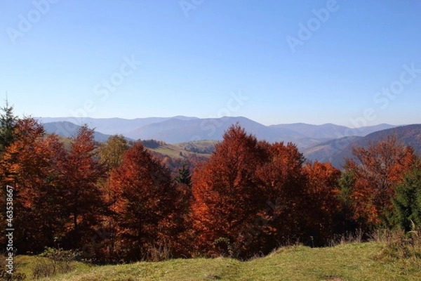 Fototapeta  Carpathians
