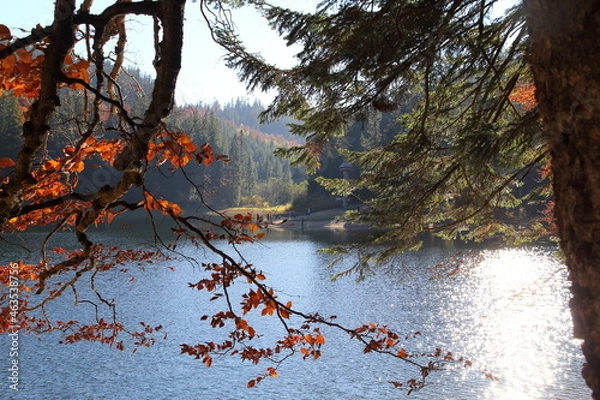 Fototapeta  Carpathians