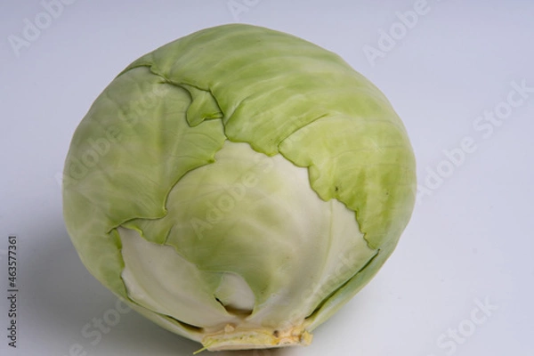 Fototapeta green cabbage