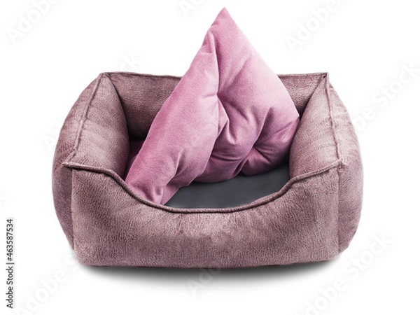 Obraz Bed for a dog, a pet