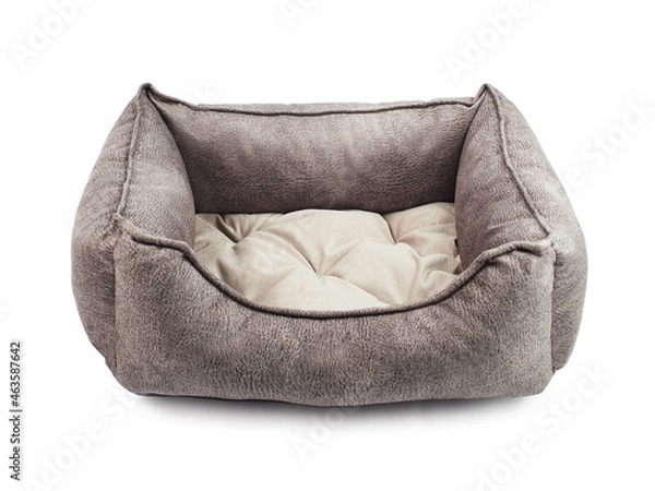 Obraz Bed for a dog, a pet