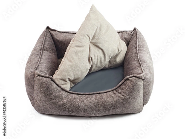 Obraz Bed for a dog, a pet