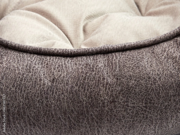 Obraz Bed for a dog, a pet