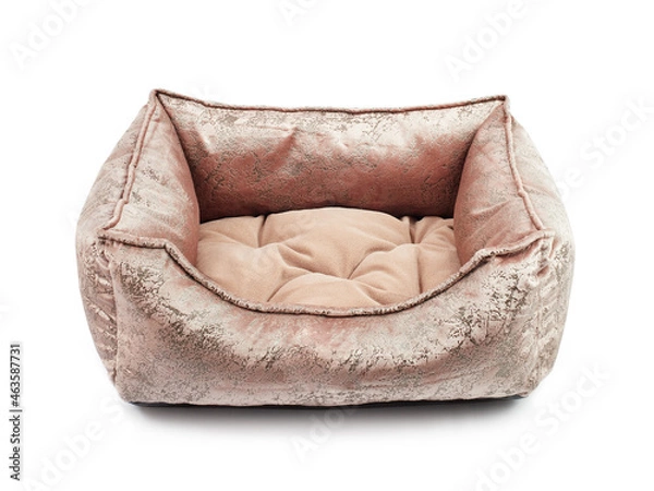 Obraz Bed for a dog, a pet