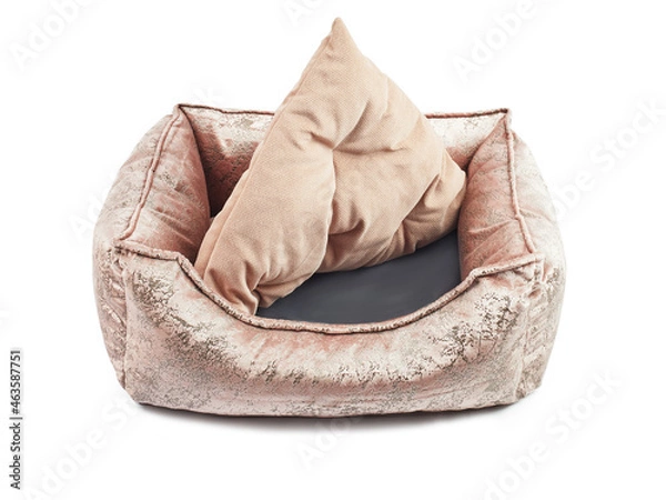 Obraz Bed for a dog, a pet
