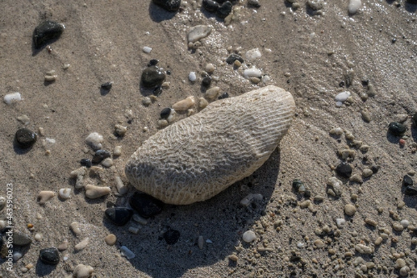 Obraz 不思議な模様の石
