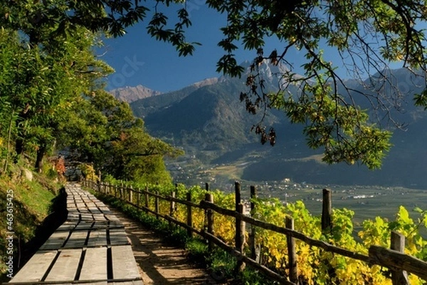 Obraz Marlinger wAALWEG