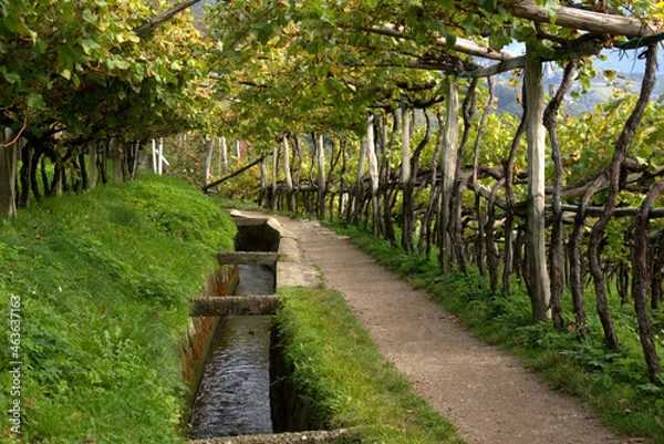 Obraz Algunder Waalweg