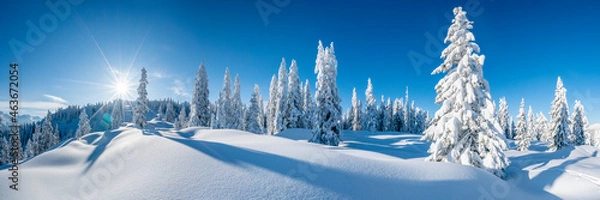 Obraz Winterpanorama - Verschneite Winterlandschaft	