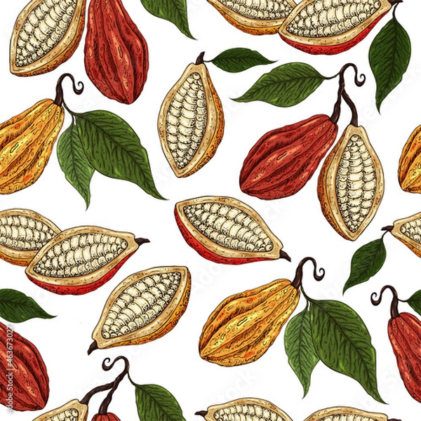 Fototapeta Cocoa pattern. Organic healthy food background. Cocoa beans print. Hand drawn cacao branch with fruits. Great for textie, fabric, banner. Cocoa beans, leaves, seeds, cocoa texture. Superfood cacao.