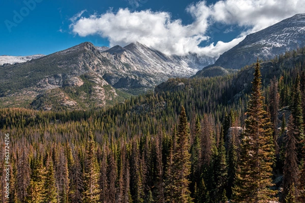 Fototapeta View of snow covered mountains in rocky mountain national park, colorado. This was taken near dream lake and features a blue cloudy sky during fall with a forest of trees.