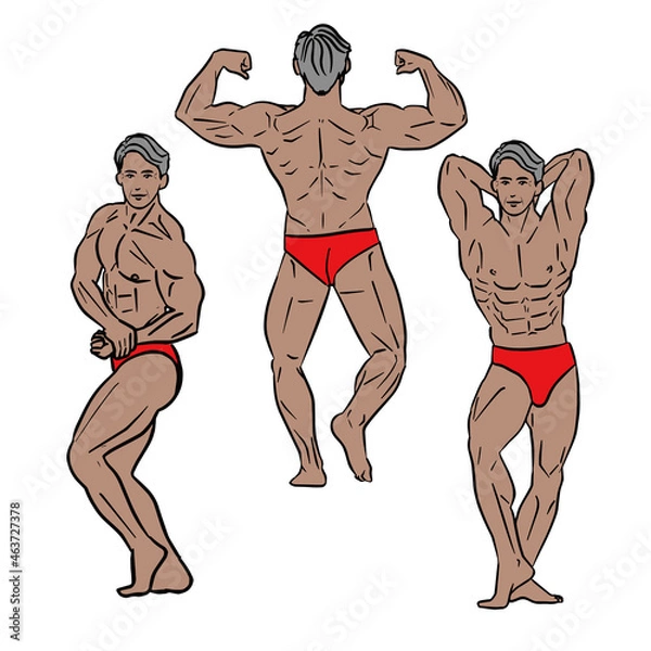 Obraz ボディービルのポーズ、アブドミナルアンドサイ、サイドチェスト、ダブルバイセップバック、をとるアジア人のロマンスグレーの男性ボディービルダーのコミック調のシンプルな線画イラストのセット