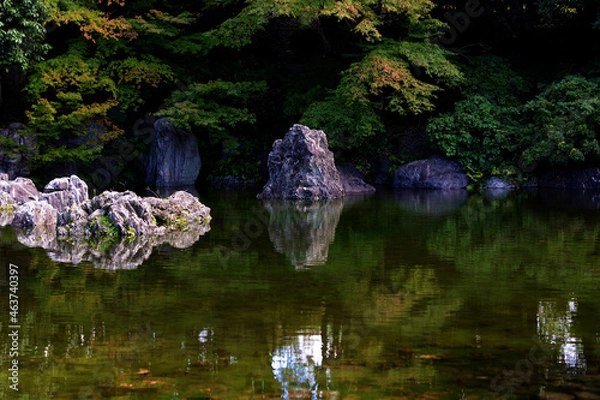 Obraz 日本庭園の静かな池ともみじ