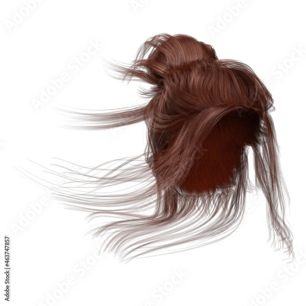 Obraz Contemporary Updo on isolated white background, 3d render, 3d illustration