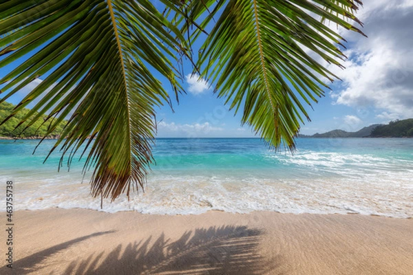 Fototapeta Paradise sandy beach with leaves of palm trees. Summer vacation and tropical beach concept.