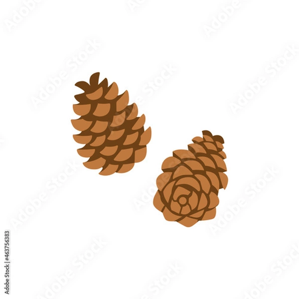 Obraz 松ぼっくり