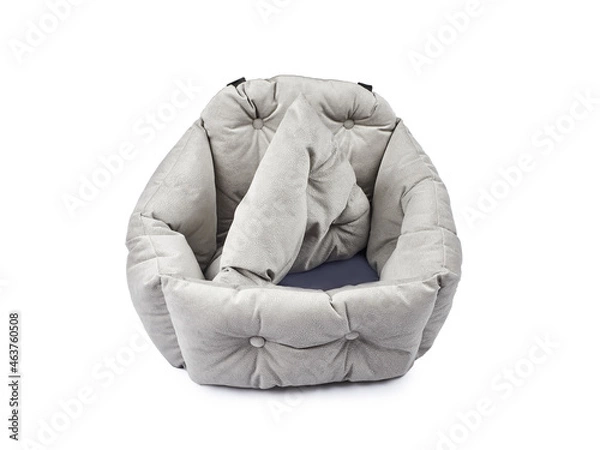 Obraz Car seat for animals