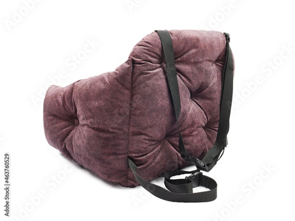 Obraz Car seat for animals