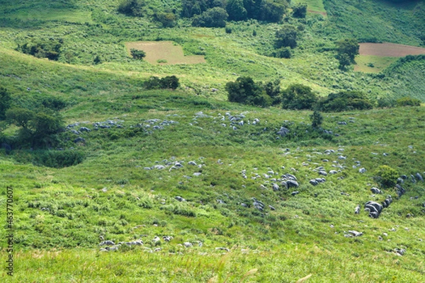 Obraz Karst topography from the summit of Daimoyama
