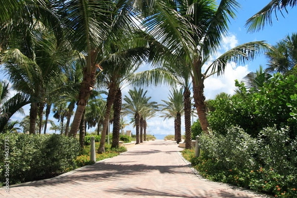 Obraz Tropical walkway to south beach