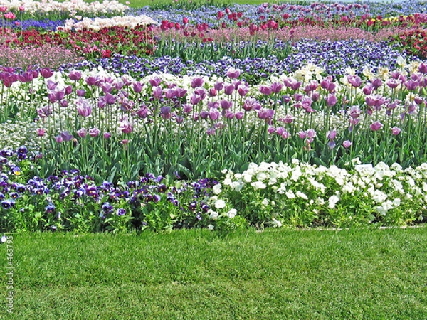 Obraz blumen und wiese