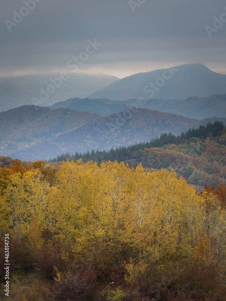 Obraz splendid autumn day on mountain paths