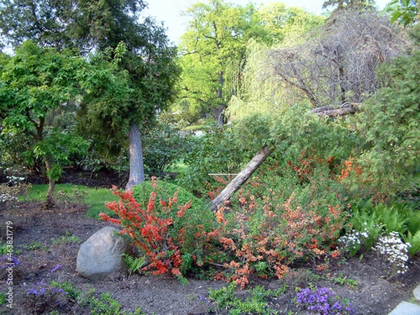 Fototapeta Asian park in Europe. 
Beautiful, incredibly refined and arranged in the Asian style garden. Full of greenery, stones and water. With a gentle hum, it calms our nerves.