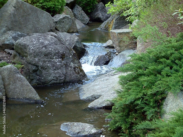 Fototapeta Asian park in Europe. 
Beautiful, incredibly refined and arranged in the Asian style garden. Full of greenery, stones and water. With a gentle hum, it calms our nerves.