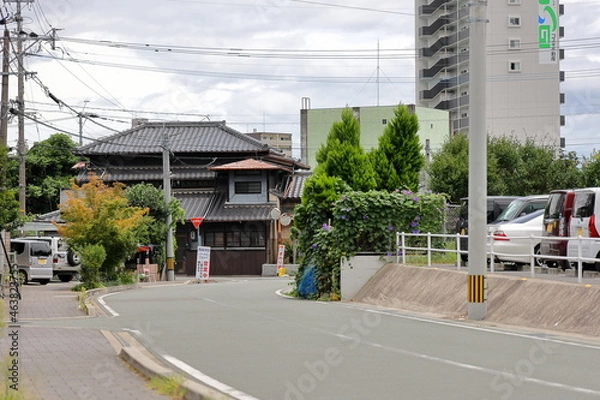 Obraz 熊本　日本