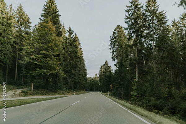 Obraz Sommerreise: Durch Wald und Himmel entlang der Hauptstraße