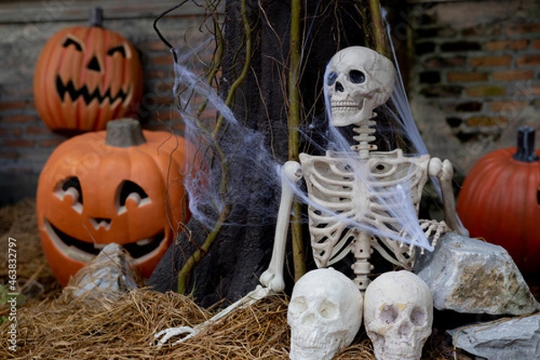 Obraz Human Bone Idea with Halloween Pumpkin