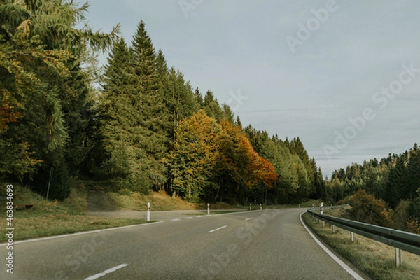 Obraz Grüne Wege: Durch Wälder und Felder entlang der Asphaltstraße