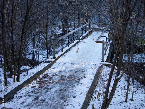 Fototapeta A small bridge in the forest across the river.