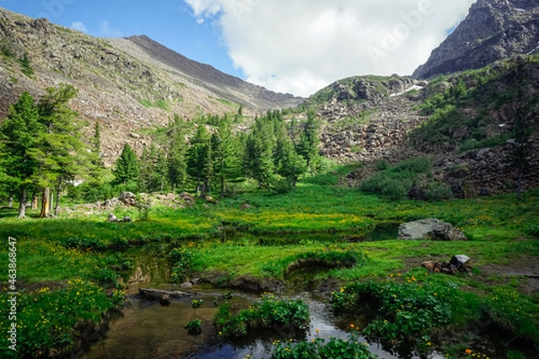 Fototapeta Beautiful stream in the Siberian mountains Sayan
