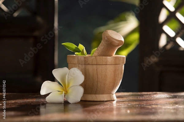 Obraz close up view of mortar and flower on green tropic back