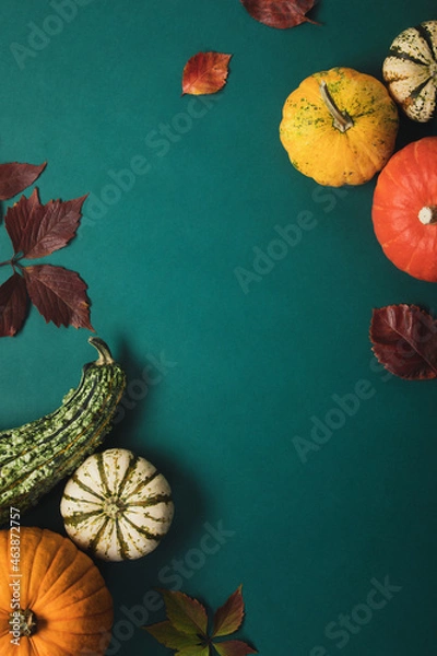 Obraz Autumn background with pumpkin collection