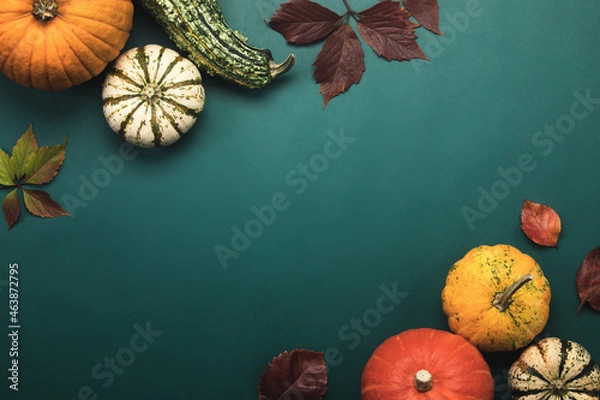 Obraz Autumn background with pumpkin collection