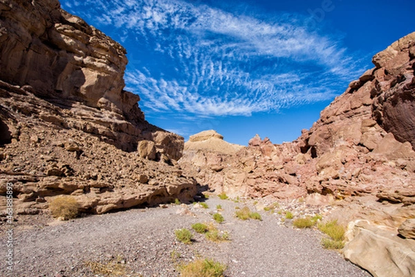 Obraz red rock canyon